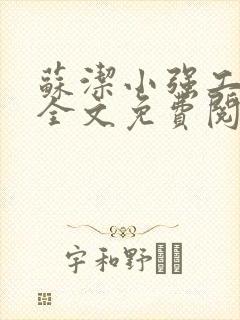苏洁小强工地情全文免费阅读