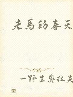 老马的春天敏静