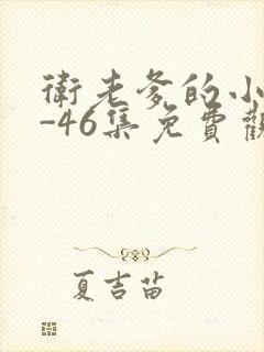 卫老爹的小船1-46集免费观看