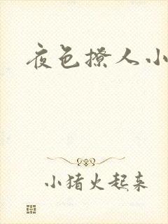 夜色撩人小说