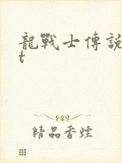 龙战士传说txt封面