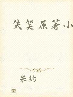 失笑原著小说封面