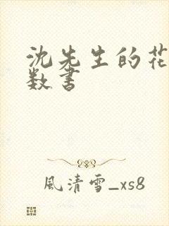 沈先生的花式调数书封面
