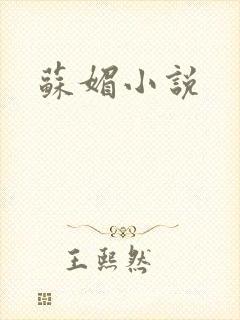 苏媚小说