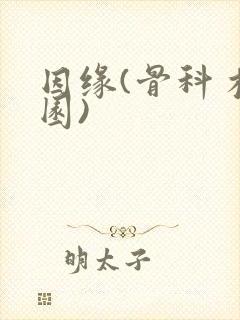 因缘(骨科 校园)封面