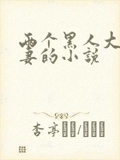 两个黑人大战娇妻的小说封面
