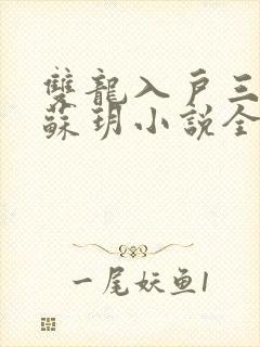 双龙入户三人行苏玥小说全文阅读