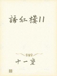 诱红楼11