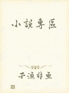 小说专区