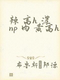 辣 高h 浓 np 肉 黄高h