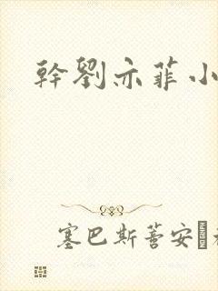 干刘亦菲小说