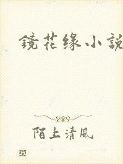 镜花缘小说