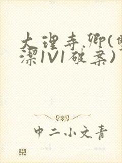 大理寺.卿(双洁1V1破案)