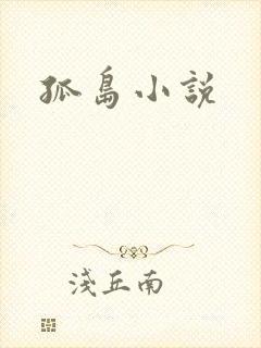 孤岛小说封面