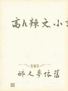 高h辣文小说封面