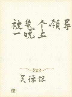 被几个领导玩弄一晚上