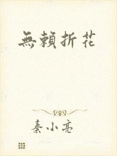 无赖折花封面