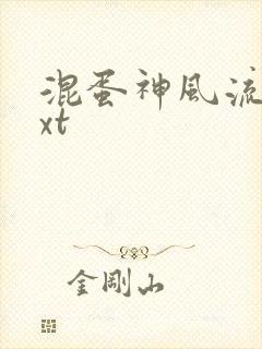 混蛋神风流史txt