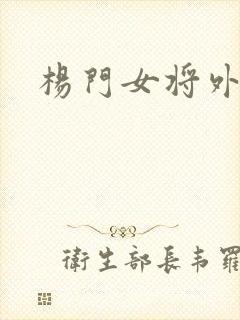 杨门女将外传