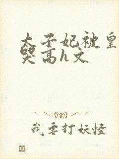 太子妃被皇上c哭高h文