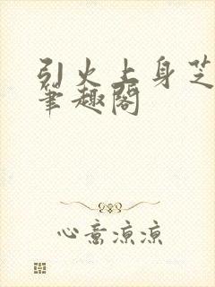 引火上身芝麻糖笔趣阁封面