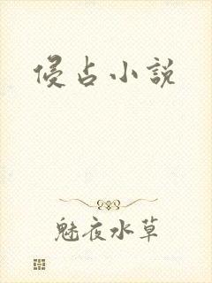 侵占小说
