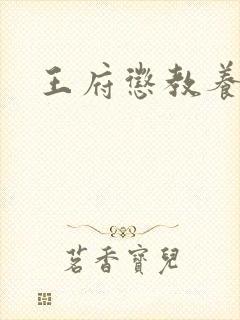 王府惩教养日常