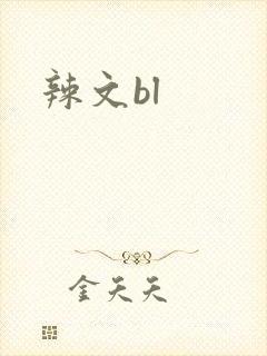 辣文bl封面
