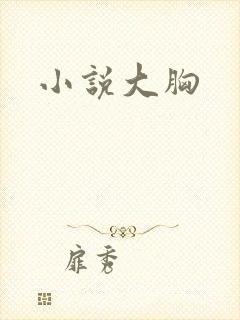 小说大胸