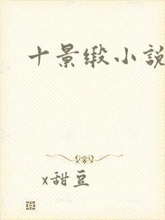 十景缎小说