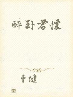 醉卧君怀封面