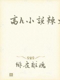 高h小说辣文
