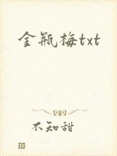 金瓶梅txt封面