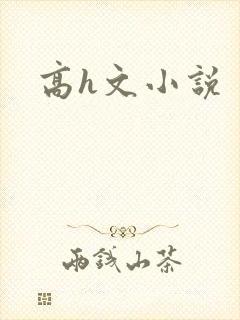 高h文小说