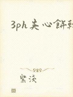 3ph夹心饼干