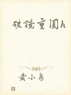 破镜重圆h