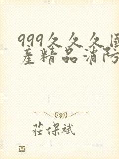 999久久久国产精品消防器材