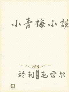 小青梅小说