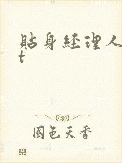 贴身经理人txt