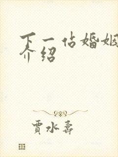 下一站婚姻剧情介绍封面