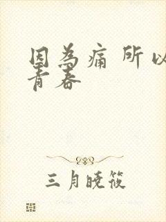 因为痛 所以叫青春