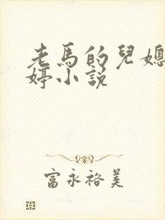 老马的儿媳顾婉婷小说