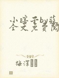 小瞎子by苏软全文免费阅读封面