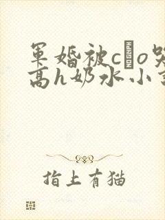 军婚被cαo哭高h奶水小说