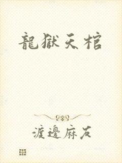 龙狱天棺封面
