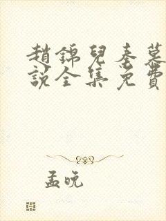 赵锦儿秦慕修小说全集免费封面