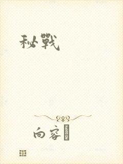 秘战