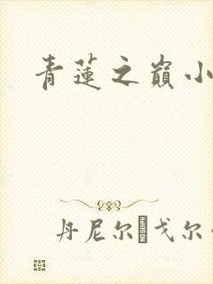 青莲之巅小说