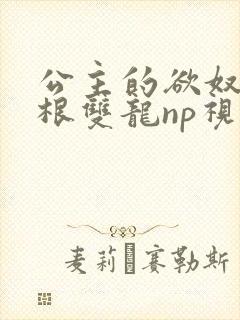公主的欲奴h四根双龙np视频