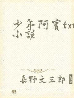 少年阿宾txt小说